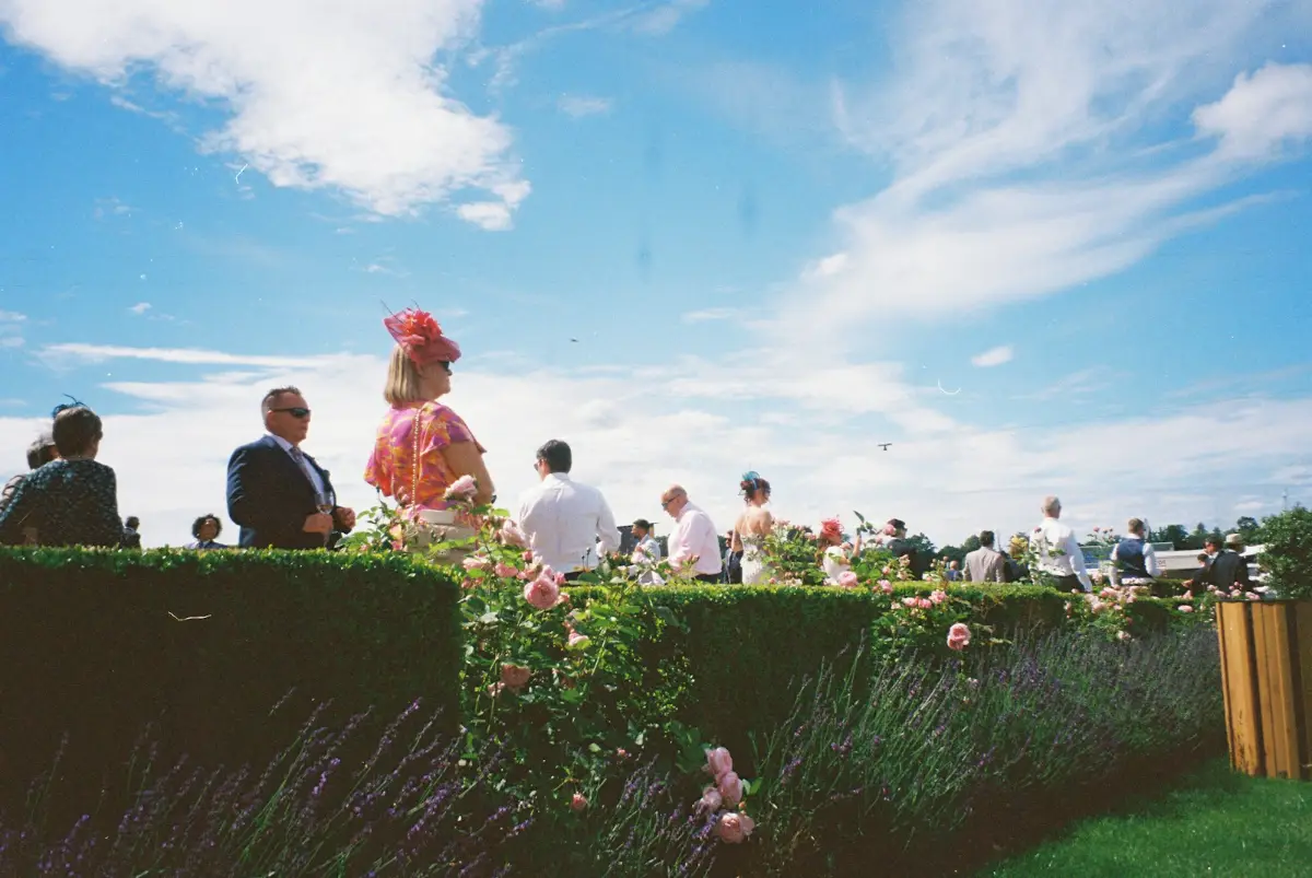Guests chatting on a lawn at a summer garden party