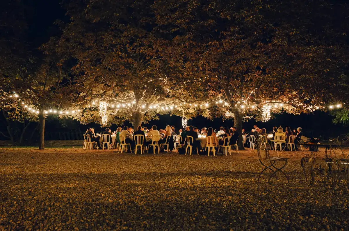 Guests at long tables under trees strung with festoon lights at an evening reception